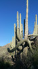photo thumbnail #4
