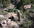 photo thumbnail #10