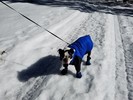 photo thumbnail #2