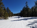 photo thumbnail #10