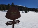 photo thumbnail #12