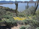 photo thumbnail #3