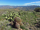 photo thumbnail #4