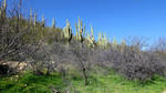 photo thumbnail #8
