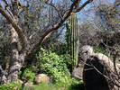 photo thumbnail #11