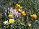 photo thumbnail #13