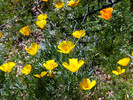 photo thumbnail #14