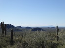 photo thumbnail #4