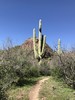 photo thumbnail #5