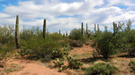 photo thumbnail #3