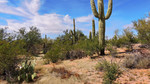 photo thumbnail #4