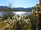 photo thumbnail #5