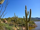 photo thumbnail #6