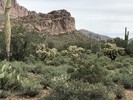photo thumbnail #3