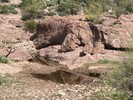 photo thumbnail #7