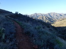 photo thumbnail #2