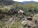 photo thumbnail #7