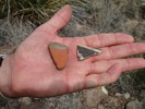 photo thumbnail #8
