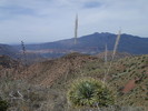 photo thumbnail #11