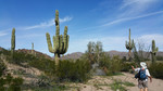 photo thumbnail #8