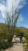 photo thumbnail #10