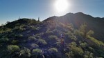 photo thumbnail #2