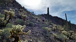 photo thumbnail #7