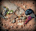 photo thumbnail #10