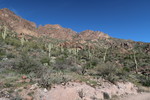 photo thumbnail #14