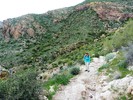 photo thumbnail #8