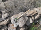 photo thumbnail #6
