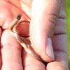 photo thumbnail #6