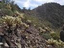 photo thumbnail #5