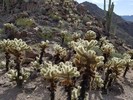 photo thumbnail #6