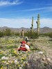 photo thumbnail #9