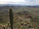 photo thumbnail #15