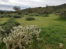 photo thumbnail #3