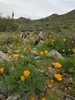 photo thumbnail #2