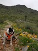 photo thumbnail #3