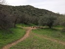 photo thumbnail #5
