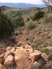 photo thumbnail #14