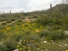 photo thumbnail #2