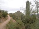 photo thumbnail #9