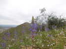 photo thumbnail #10