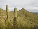 photo thumbnail #15