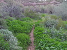 photo thumbnail #3