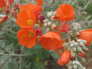 photo thumbnail #9