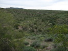 photo thumbnail #12