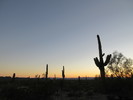 photo thumbnail #10