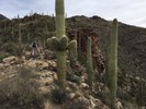 photo thumbnail #1